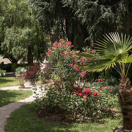 Residence Midi Mazamet Kültér fotó